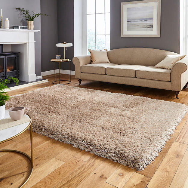Living Room rug