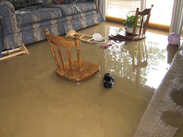 Water Damage Is the Most Common Disaster – All You Need to Know