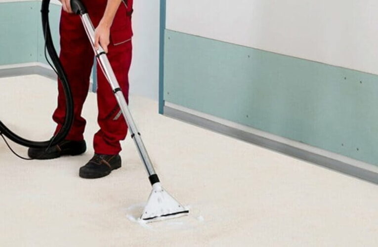 Hiring a Professional Carpet Cleaner – 07 Must Known Secrets