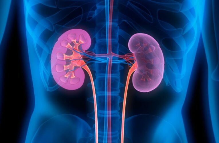7 Early Warning Signs of Kidney Diseases to Keep Eyes On