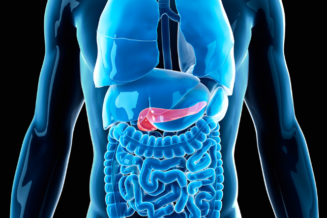 Assessing the Direct Impact of Fatty Pancreas on Human Health