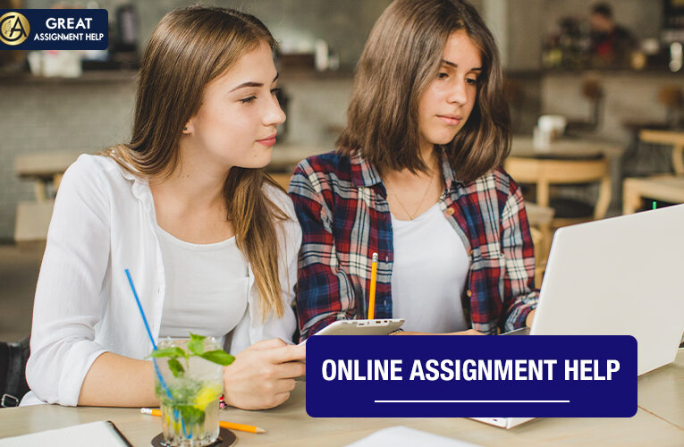 Get High-Quality Assignment Help Ireland At Affordable Rates