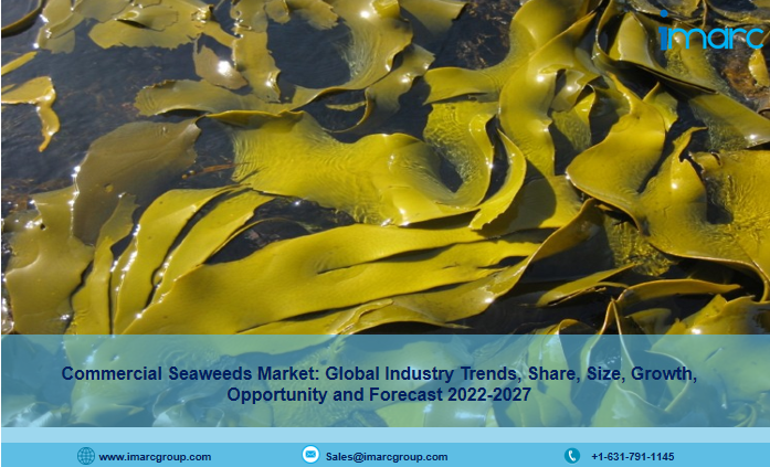 Commercial Seaweeds Market Size, Share, Trends Report 2022-2027