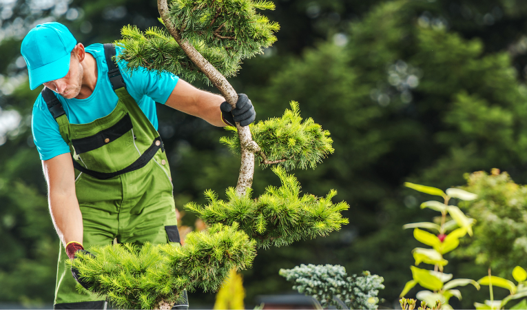 Find Reliable Landscaping Companies in Toronto for Your Garden