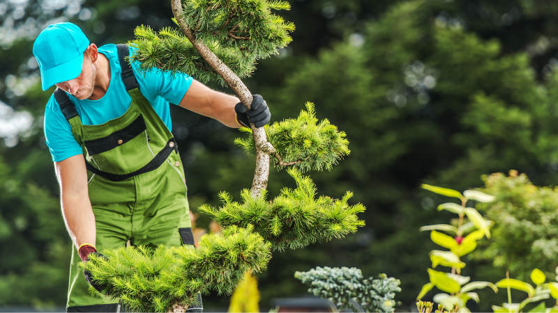 Landscaping Companies in Toronto