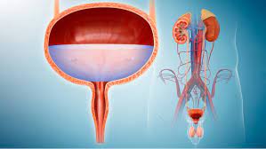 Common Urologic Problems and How You Can Treat Them